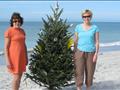 two women on beach with small Christmas tree