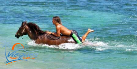 Young man riding horse in ocean in Vieques Puerto Rico