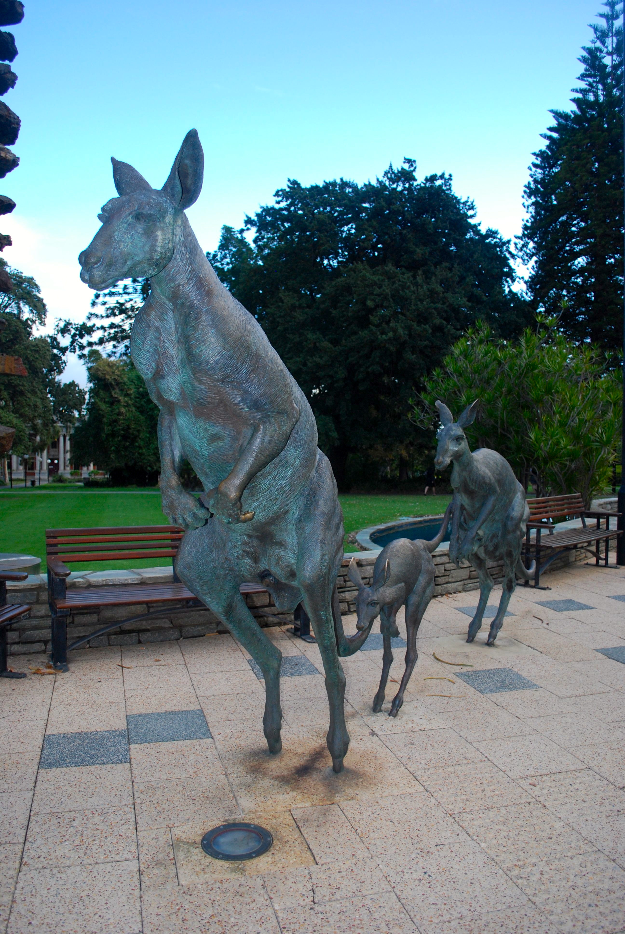 Kangaroo statues in Perth, Australia